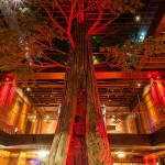 Redwood tree at Clifton’s Cafeteria