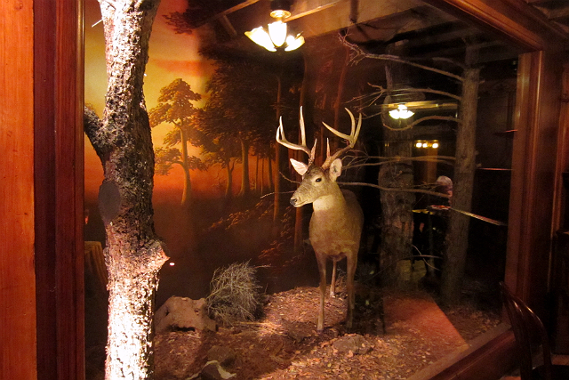 Deer in the forest diorama at Clifton's Cafeteria